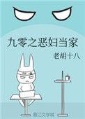 九零之恶妇当家格格党
