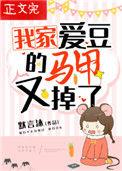 我家爱豆的马甲又掉了类似马甲原耽