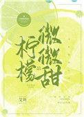 柠檬微微甜作者/艾鱼