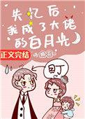 失忆后我成了大佬的白月光在线观看