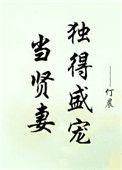 当贤妻独得盛宠 仃晨