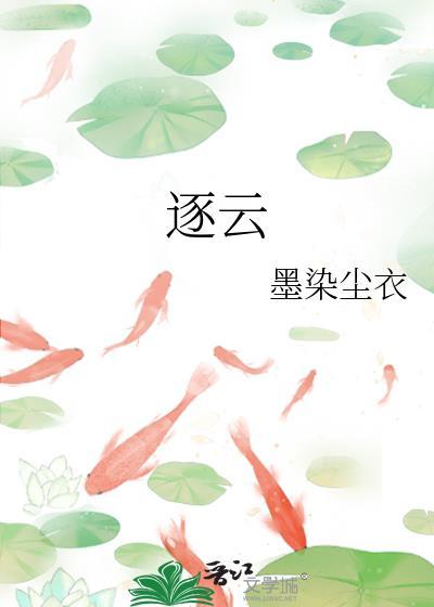 逐云墓场讲的什么