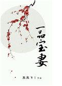 一品宝妻by