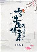 太子妃佛系出走中讲的什么