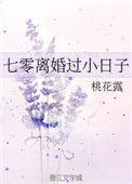 七零离婚过小曰子