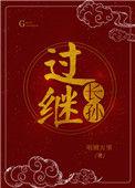 过继儿子