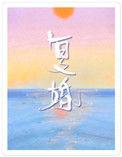复婚电视剧剧情介绍全集