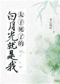 太子的白月光是我 免费