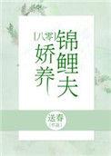 锦鲤小夫郎