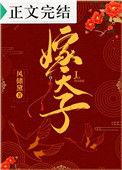 嫁天子岑京大结局是什么
