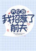 失忆后我招惹了前夫by时十三