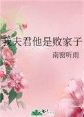 我夫君他是败家子 作者南窗听雨