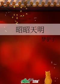 昭昭天明剧本书