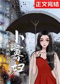 乘风破浪的小寡妇讲的什么