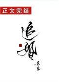 追婚记好看吗