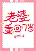 老婆重回17岁格格党