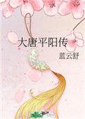 大唐平阳传讲了什么
