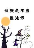 我就是不当魔法师百度