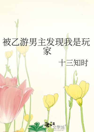 乙游男主人设