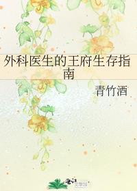 外科医生的王府生存指南百度