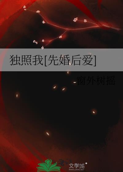 独照歌词是什么意思