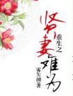 重生之贤妻难为全文