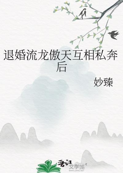 退婚流龙傲天互相私奔后晋江