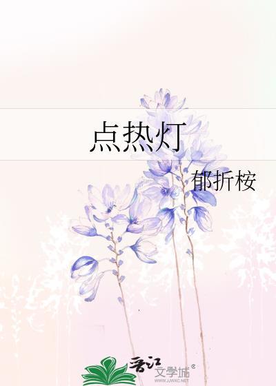 点热灯全本txt百度资源