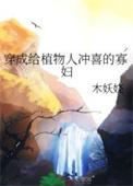 穿成植物人大佬的冲喜小娇妻100