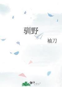 驯野马