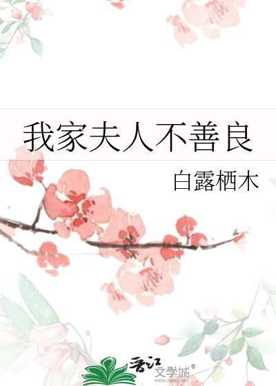 我家夫人不善良百度