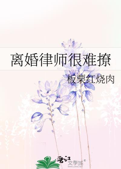 当离婚律师