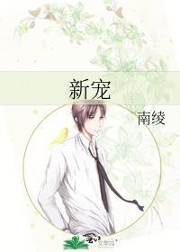 新宠的近义词