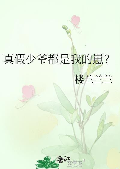 真假少爷he