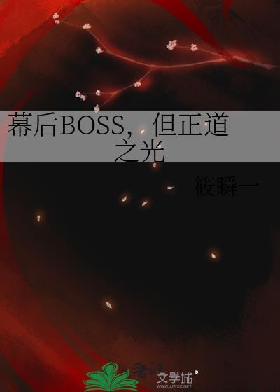 幕后boss的征程