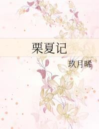 栗夏记 玖月晞讲的什么