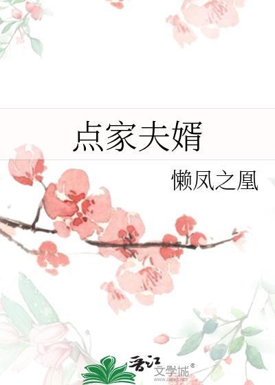 点家夫婿 作者懒凤之凰