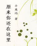 致青春原来你还在这里新版