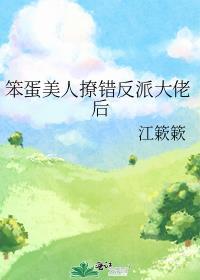 笨蛋美人撩错反派大佬后晋江