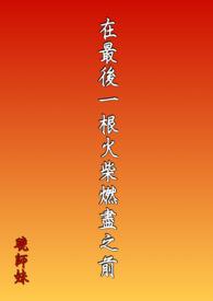 最后一根火柴分段