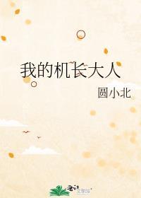 我的机长大人圆小北TXT