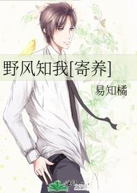 野风表达了什么