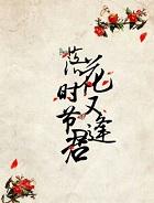 落花时节又逢君 电视剧