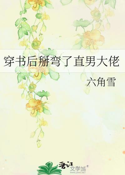 穿书后掰弯了直男大佬副cp是谁