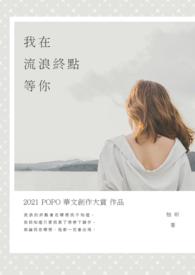 歌词在流浪的途中爱上你