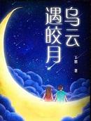 乌云遇皎月大概讲什么