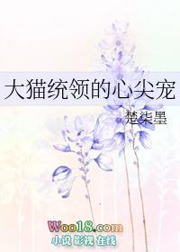 大猫总统的心尖宠