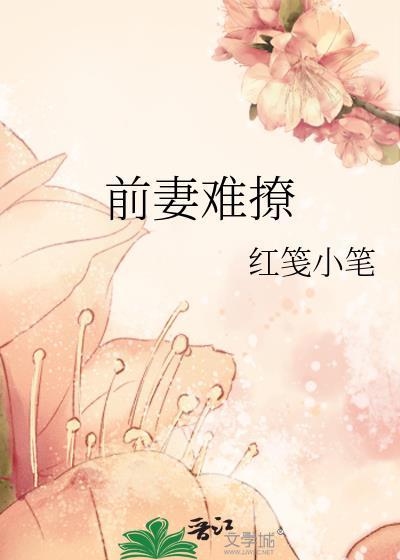 前妻难撩by红笺小笔txt