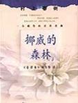挪威的森林视频截了3分钟