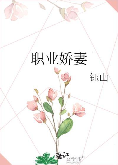 职业妻子男主角